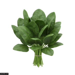 Bunch of spinach on a white background png transparent background