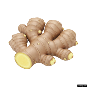 Close up of a ginger root on a white background png transparent background