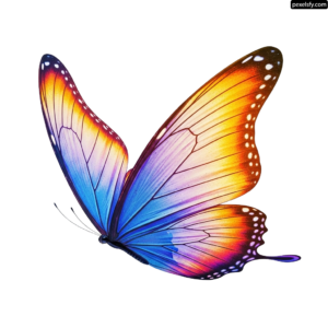 Colorful butterfly on a white background png transparent background