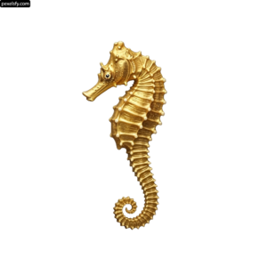 Gold seahorse on a white background png transparent background