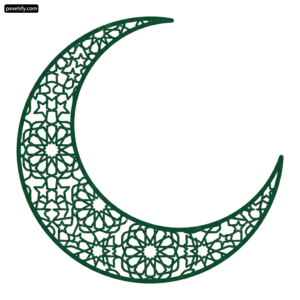 Green crescent with a pattern on it png transparent background