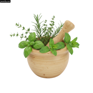 Mortar and pestle filled with fresh herbs on a white background png transparent background