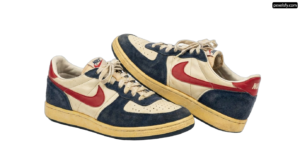 Pair of blue and red sneakers on a white background png transparent background