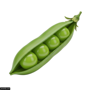 Pea pod with four green peas in it png transparent background
