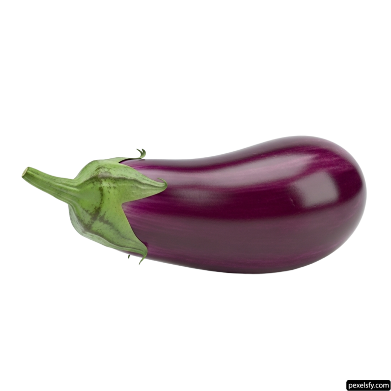 Purple eggplant on a white background png transparent background