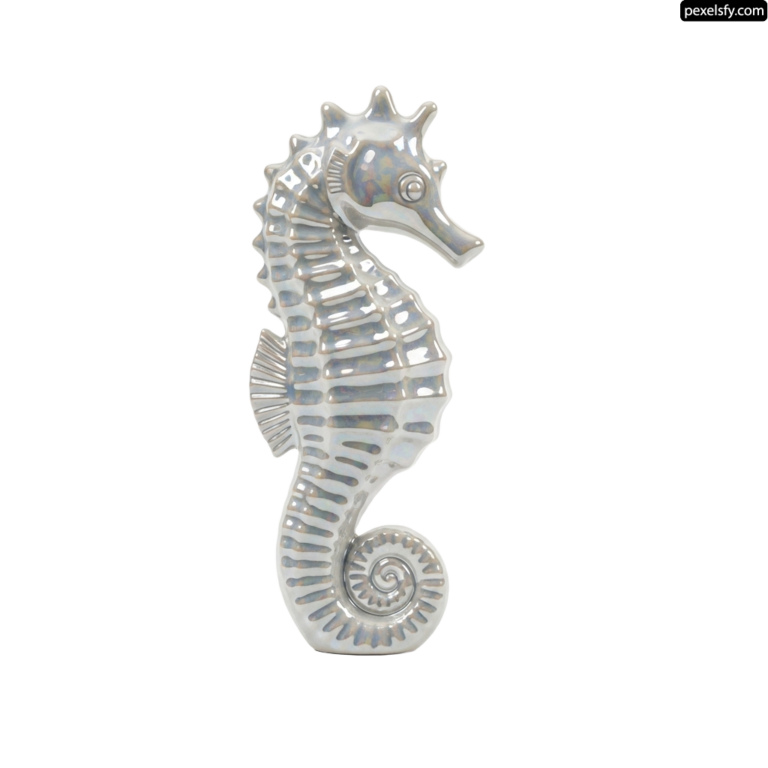 Silver seahorse figurine on a white background png transparent background