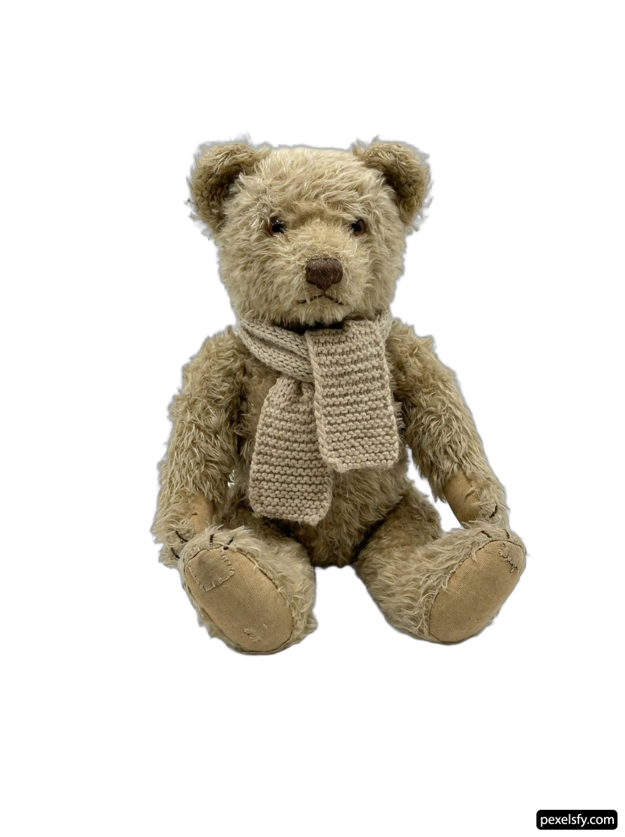 Teddy bear wearing a scarf sitting on a white background png transparent background