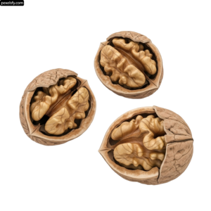 Three walnuts on a white background png transparent background