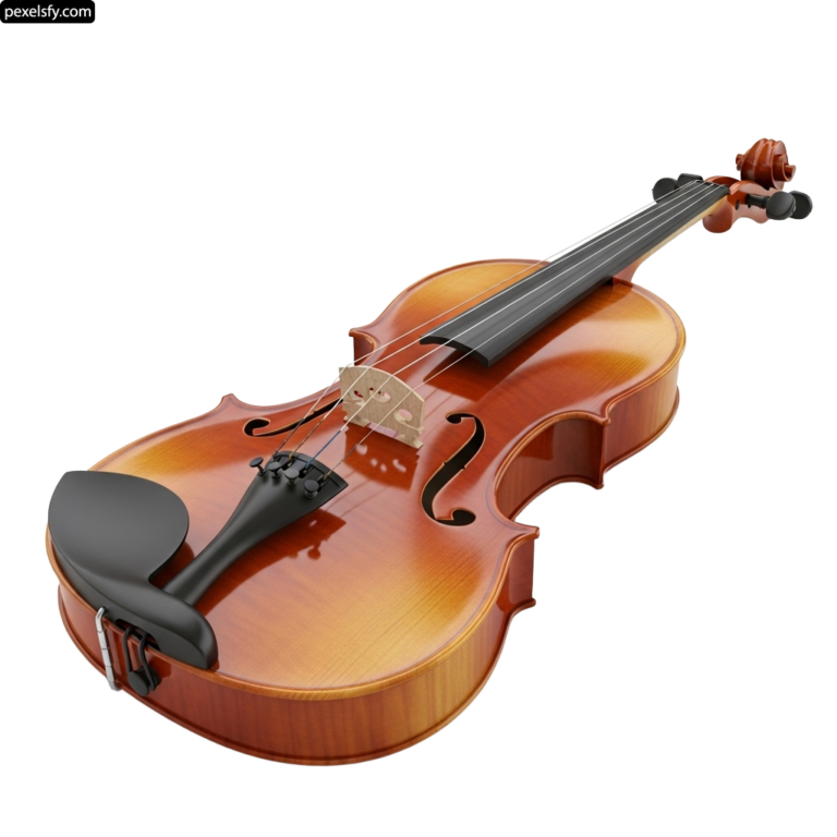 Violin on a white background png transparent background