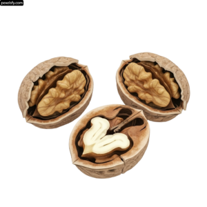 Walnut cut in half on a white background png transparent background