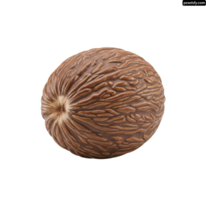 Walnut on a white background png transparent background