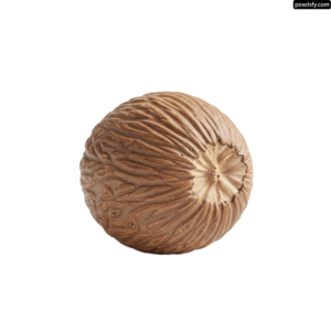Walnut on a white background png transparent background