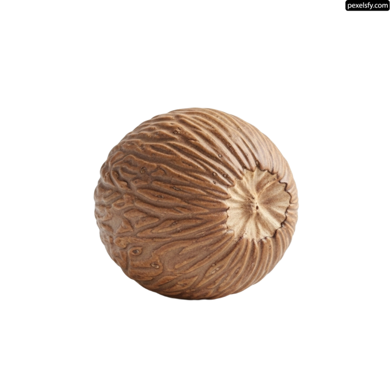 Walnut on a white background png transparent background