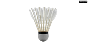 Badminton shuttlecock on a white background png transparent background