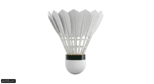 Badminton shuttlecock on a white background png transparent background