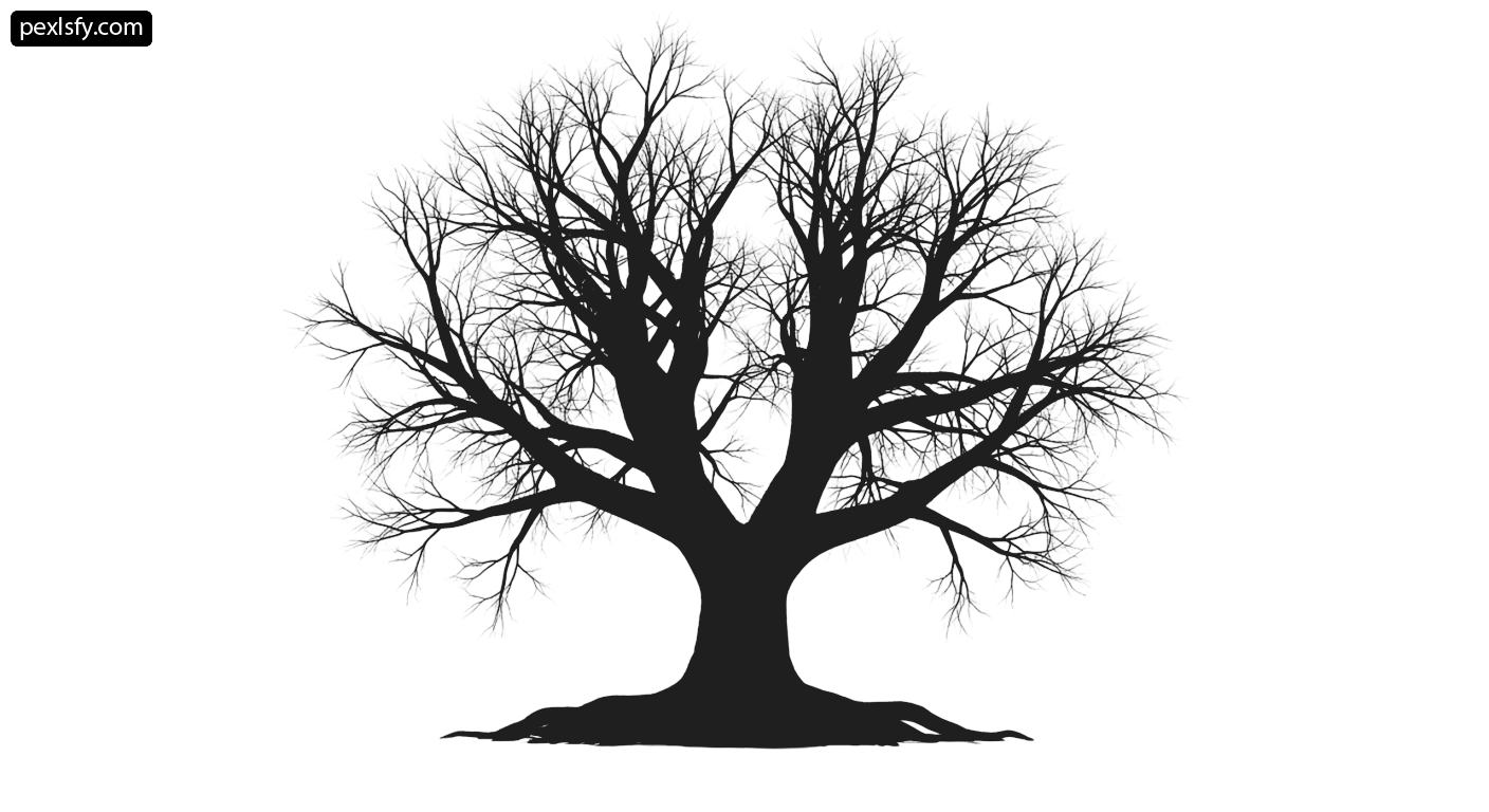 Black and white silhouette of a bare tree png transparent background