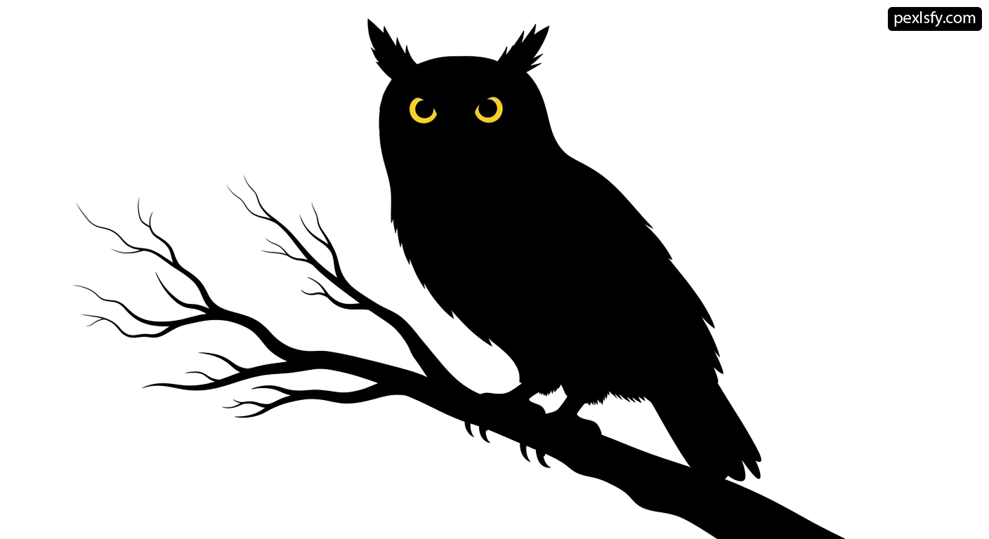 Black owl sitting on a tree branch png transparent background