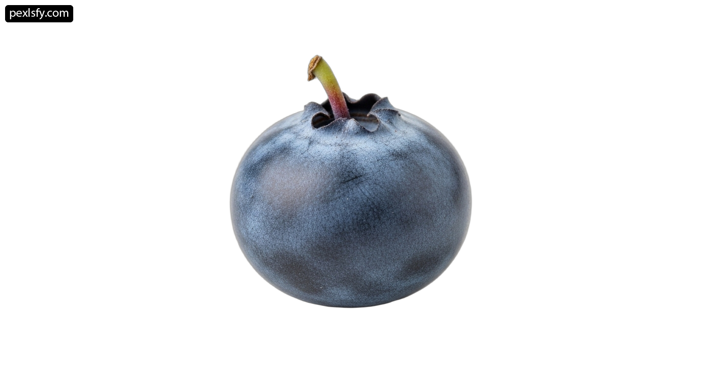 Blueberry on a white background png transparent background