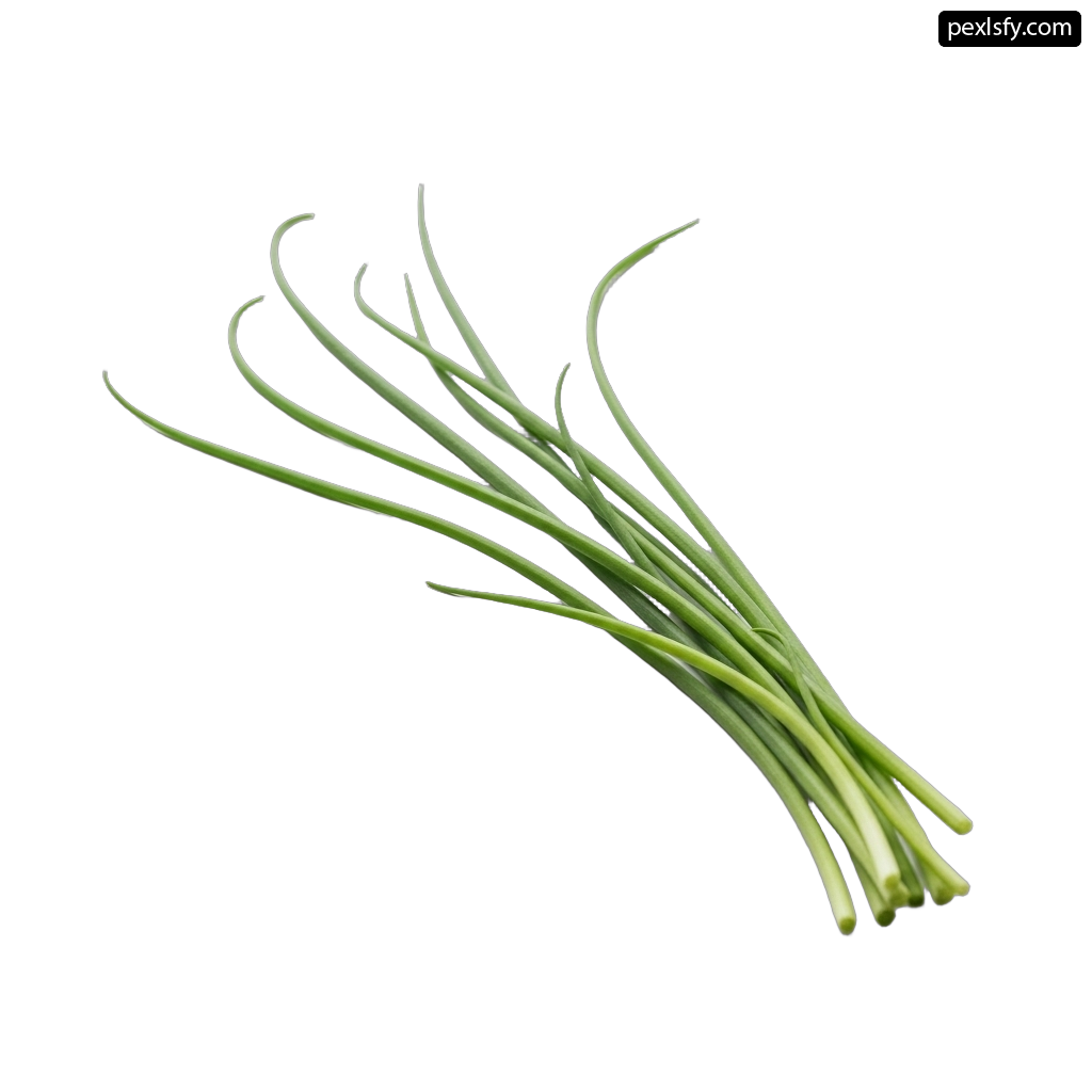 Bunch of green onions on a white background png transparent background