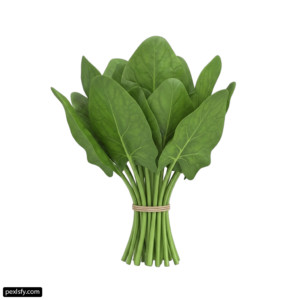 Bunch of spinach on a white background png transparent background
