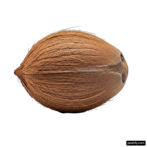 Close up of a coconut on a white background png transparent background