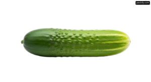 Green cucumber with water droplets on it png transparent background