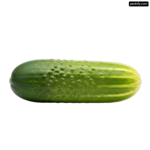 Green cucumber with water droplets on it png transparent background