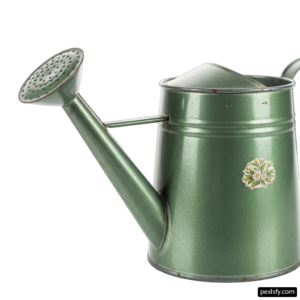 Green watering can with a flower design on it png transparent background