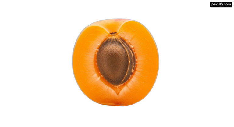 Half of an orange fruit on a white background png transparent background