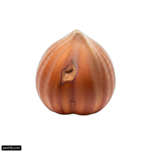 Hazelnut on a white background png transparent background