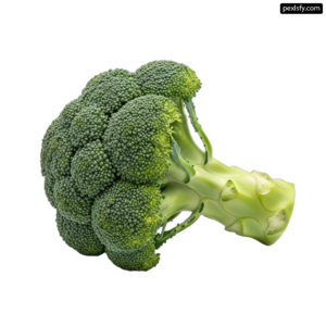 Head of broccoli on a white background png transparent background