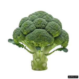Head of broccoli on a white background png transparent background