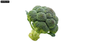Head of broccoli on a white background png transparent background
