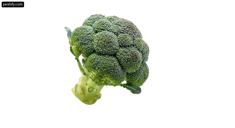 Head of broccoli on a white background png transparent background