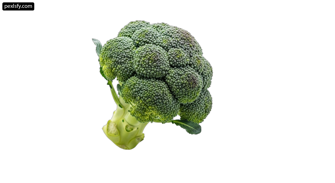Head of broccoli on a white background png transparent background