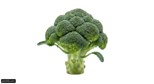 Head of broccoli on a white background png transparent background