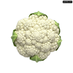 Head of cauliflower on a white background png transparent background