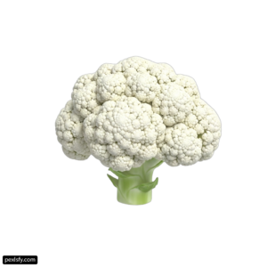 Head of cauliflower on a white background png transparent background