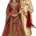 Indian Wedding Couple PNG