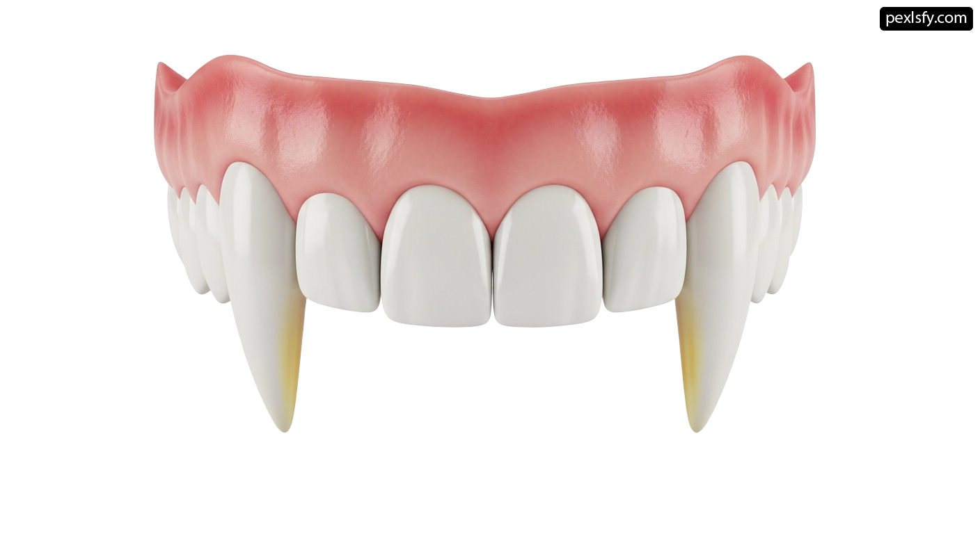 Model of a denture on a white background png transparent background