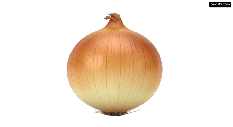 Onion on a white background png transparent background