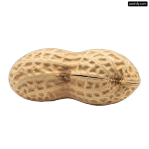 Peanut on a white background png transparent background