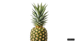 Pineapple on a white background png transparent background