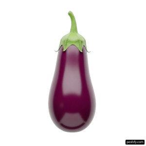 Purple eggplant on a white background png transparent background