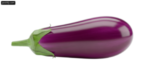Purple eggplant on a white background png transparent background