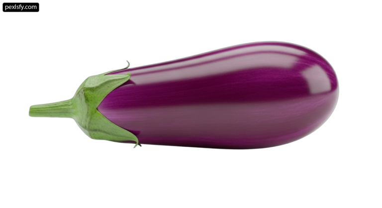 Purple eggplant on a white background png transparent background