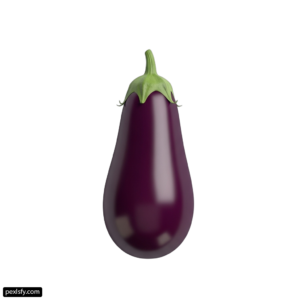 Purple eggplant on a white background png transparent background