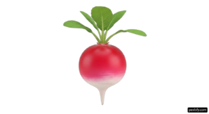 Red radish with green leaves on a white background png transparent background