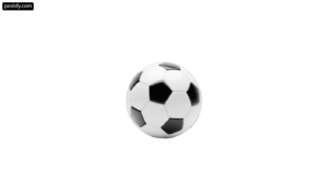 Silver soccer ball on a white background png transparent background