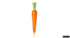 Single carrot on a white background png transparent background